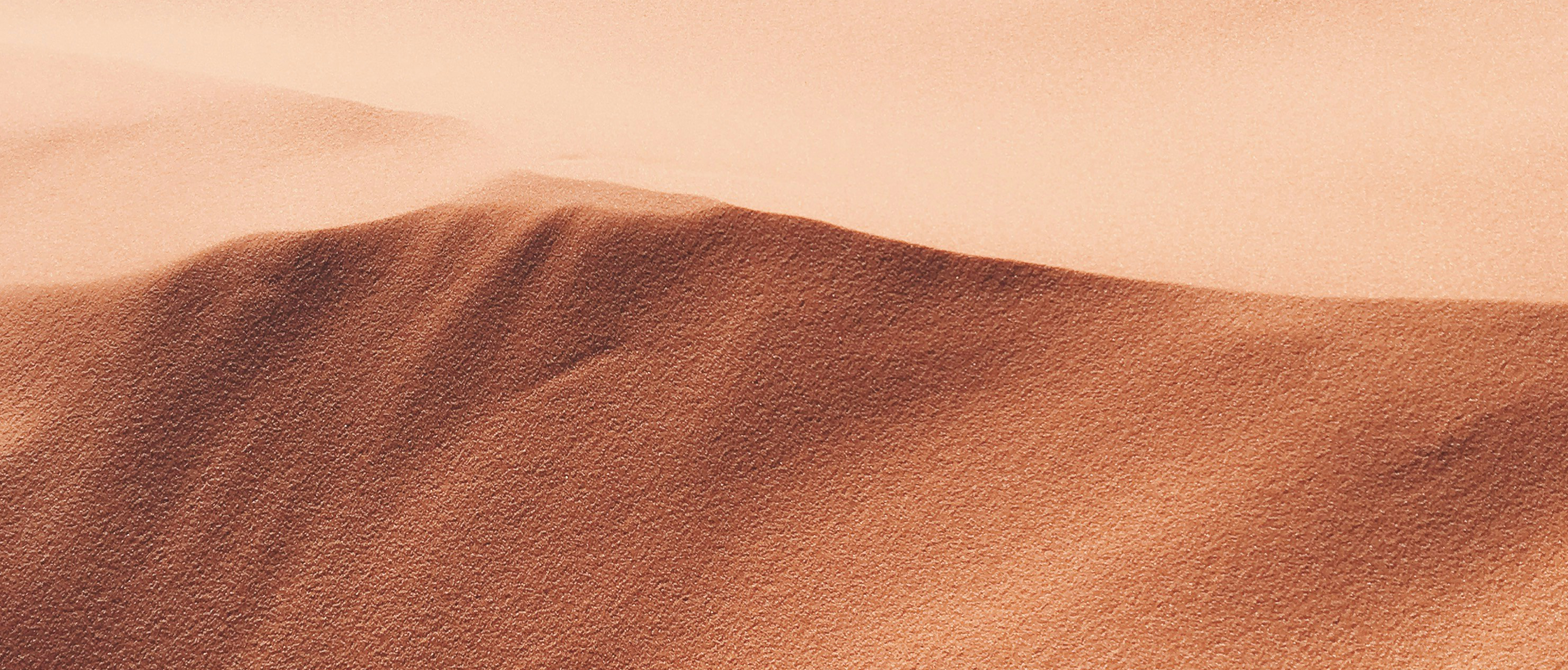 Adobestock 1489586868