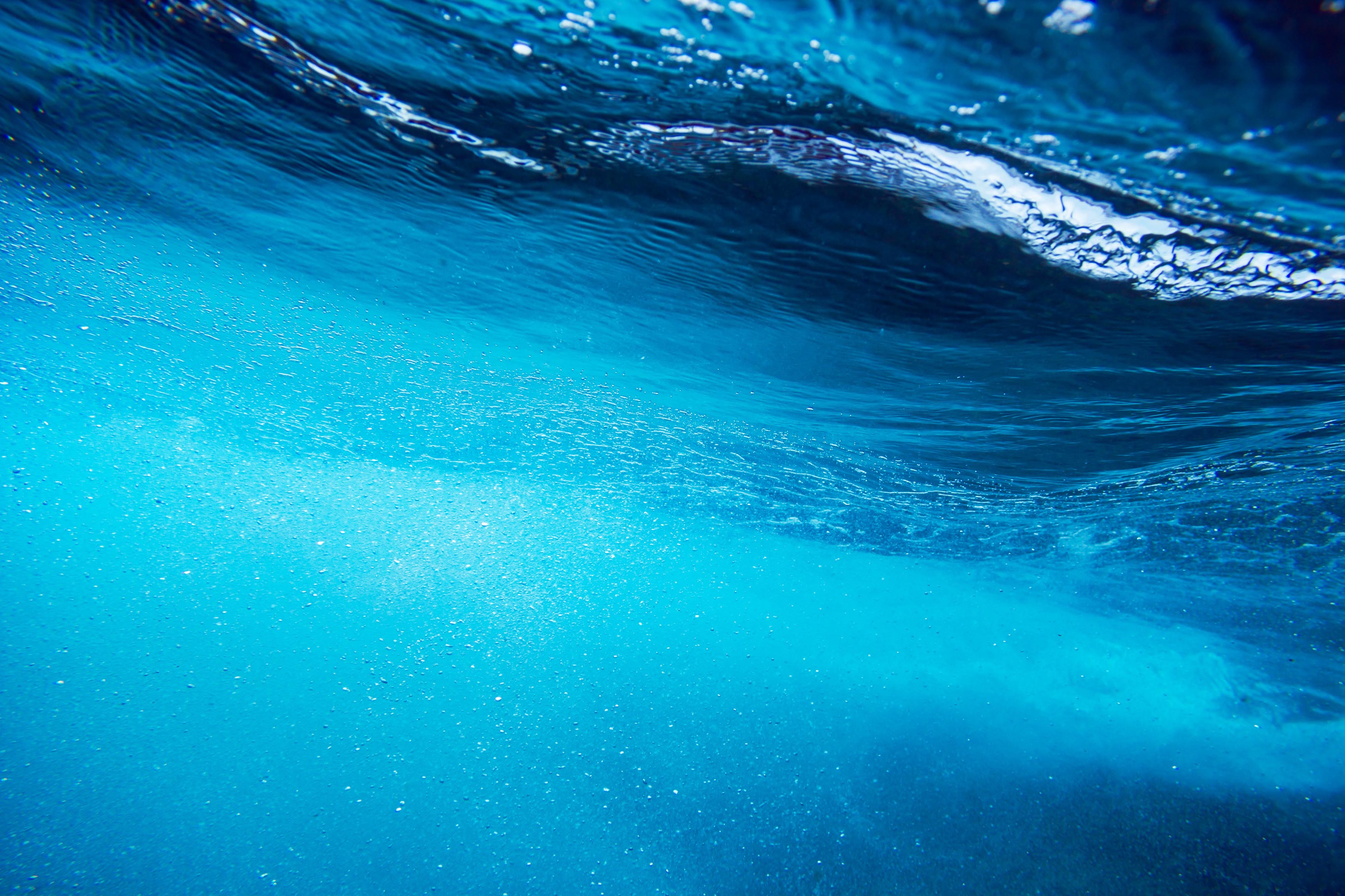 Solving the split incentive in maritime decarbonisation: Who invests? Who benefits? 