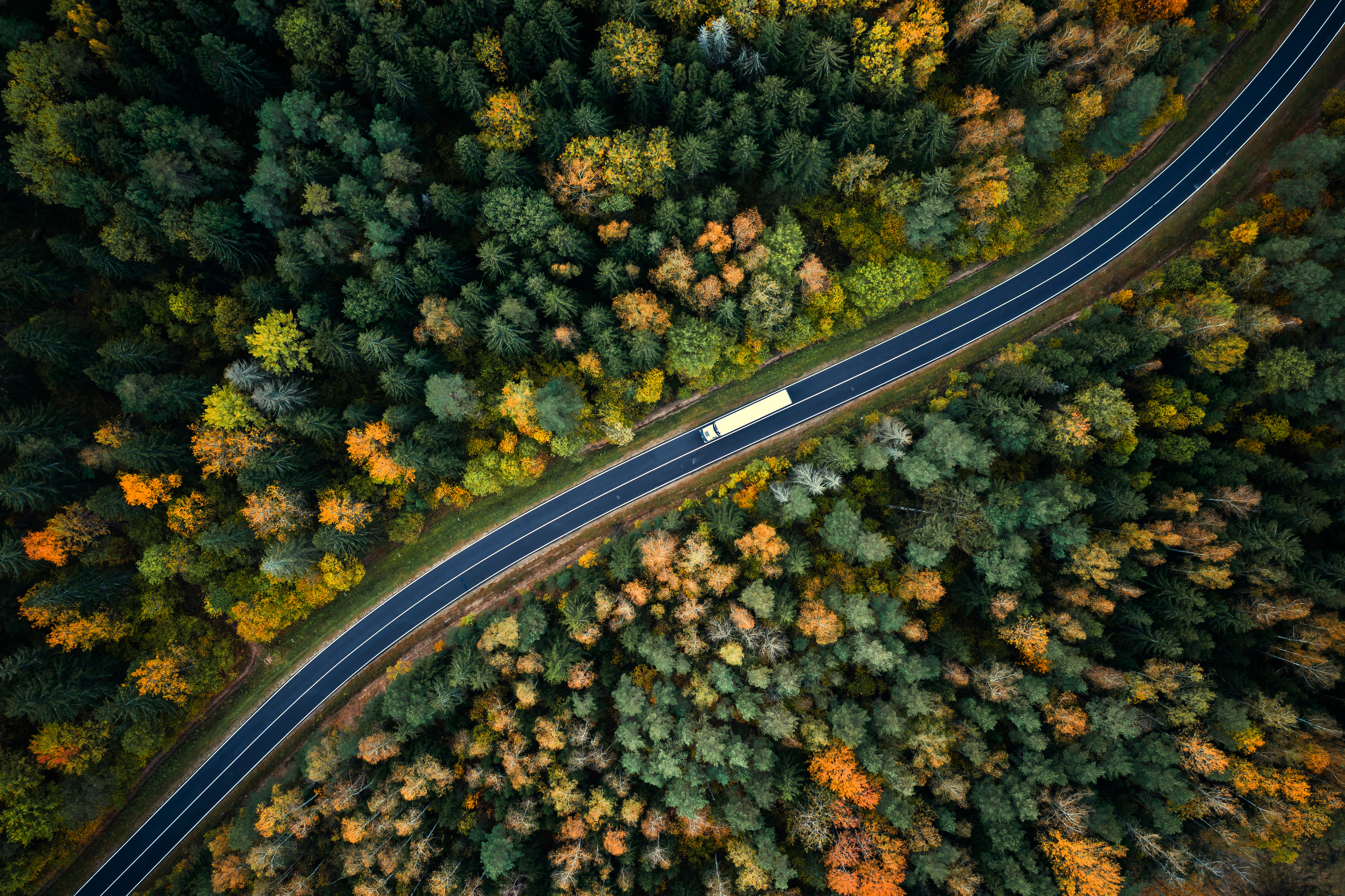 What next for the FCA‘s Motor Finance Compensation Scheme?
