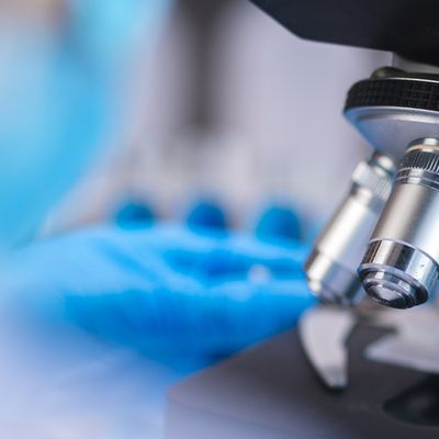 The European Data Protection Board Releases New Guidelines on the Processing of Personal Data for Scientific Research
