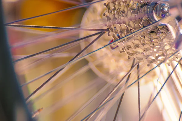 Bicycle wheel close up_Macro Textures_Social Impact_AdobeStock_1629349461 copy.jpg