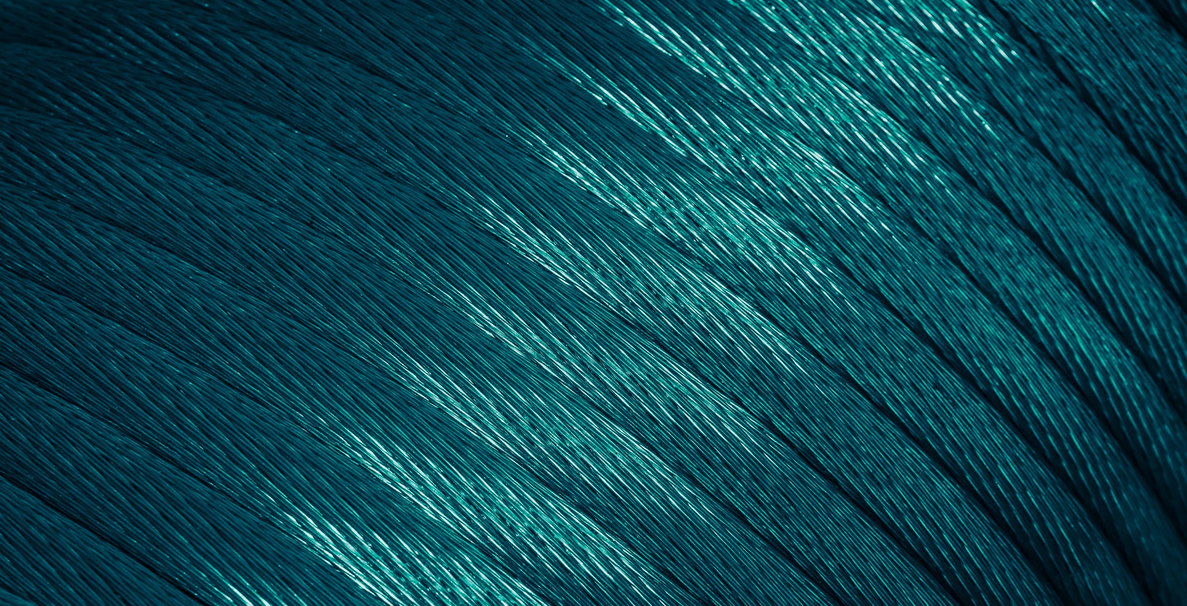 Neural Network - August 2026